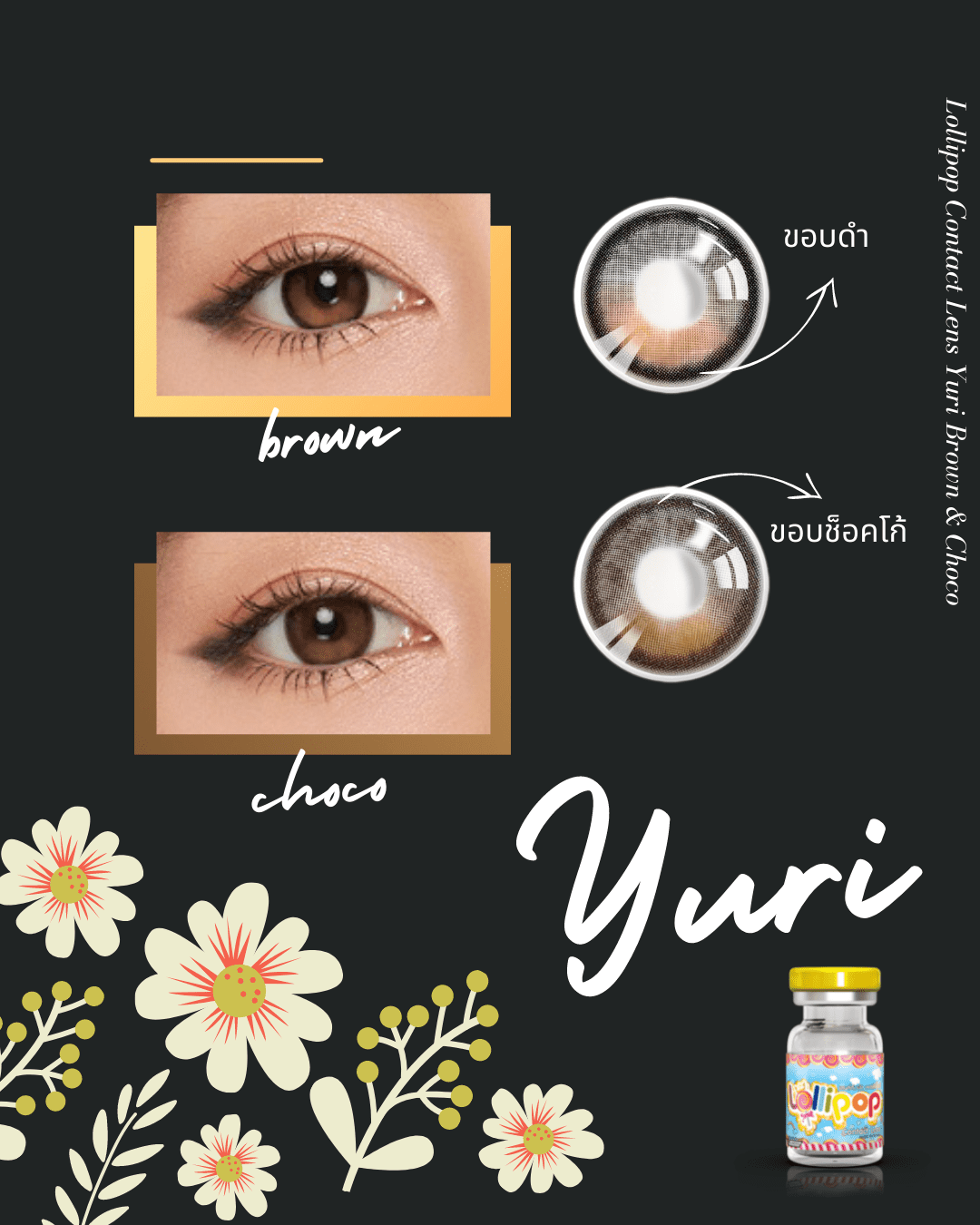 1665542742_1764667999@Lilli